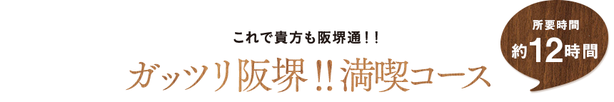 これで貴方も阪堺通!! ガッツリ阪堺!!満喫コース