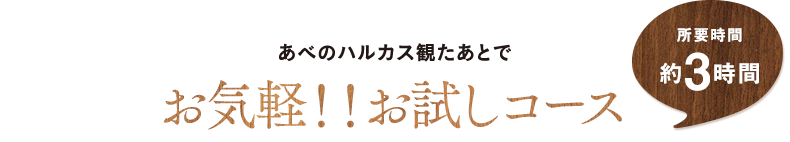 あべのハルカス観たあとで お気軽!!お試しコース