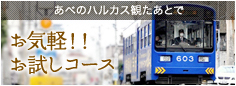 あべのハルカス観たあとで 天王寺から3時間で行って来いコース